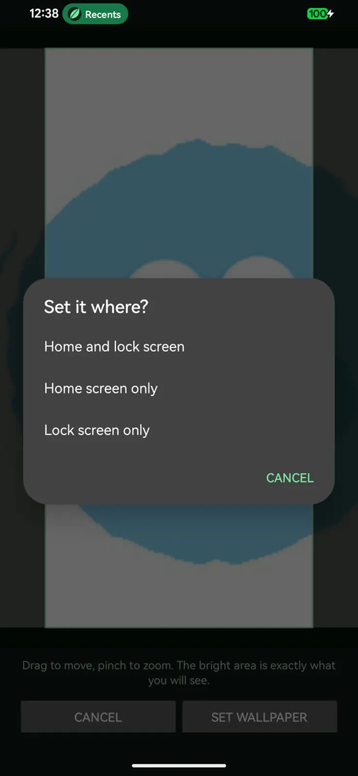 A dialog asking whether to set the wallpaper on home, lock, or both